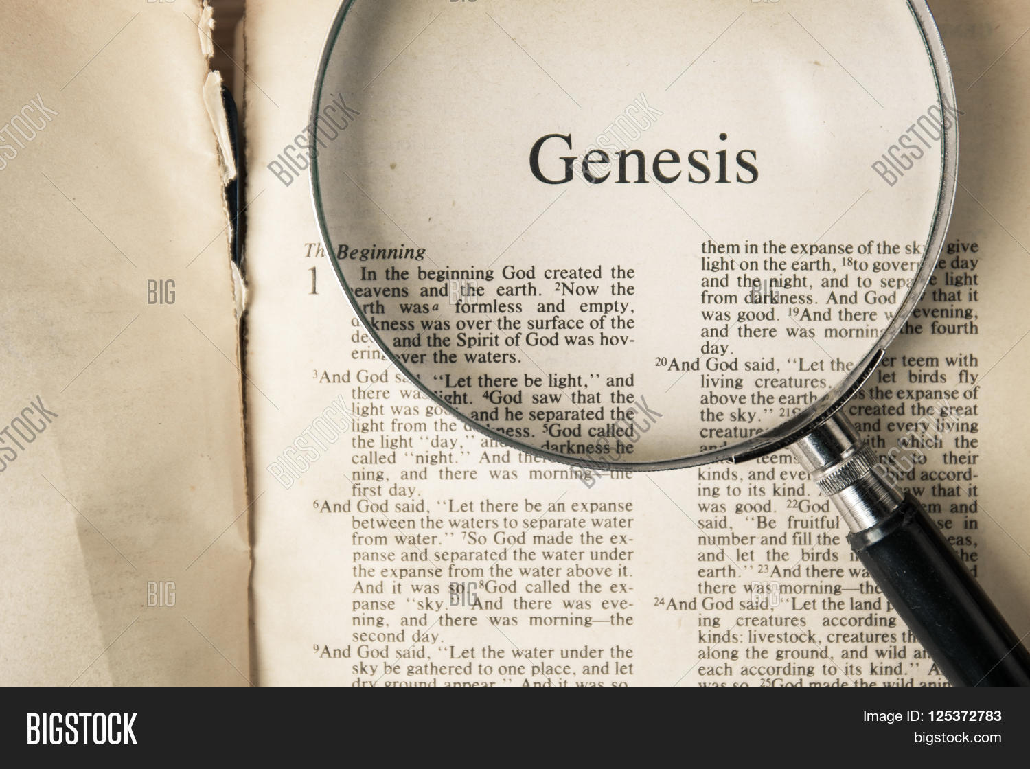 Genesis 21. Book of genesis. Genesis bible. Genesis перевод. And god said, “let the water teem with living creatures, and let birds fly above the earth across the vault of the sky.