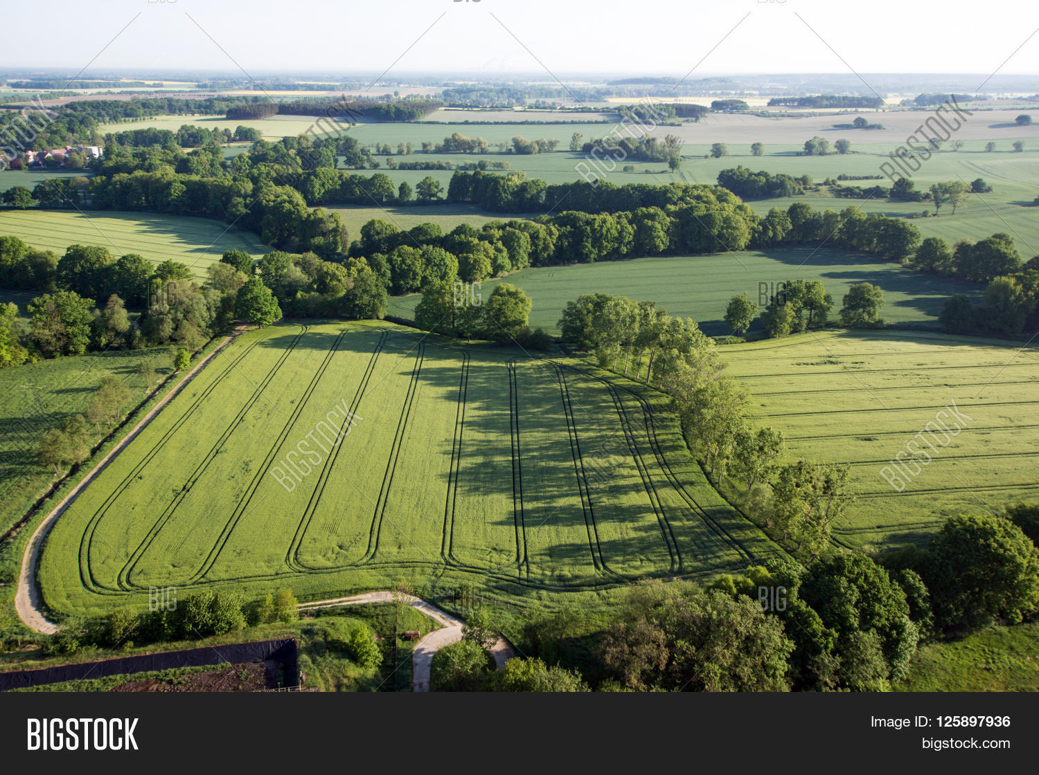 Field texture. Поля вид с самолета. Поле в пригороде. Открытое поле. Тропинка в поле.
