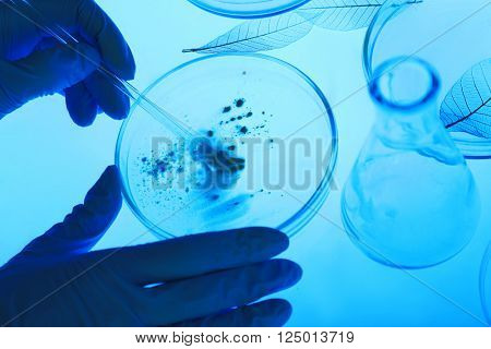 Scientist working with Petri dishes in laboratory