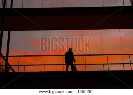 Trabajador
