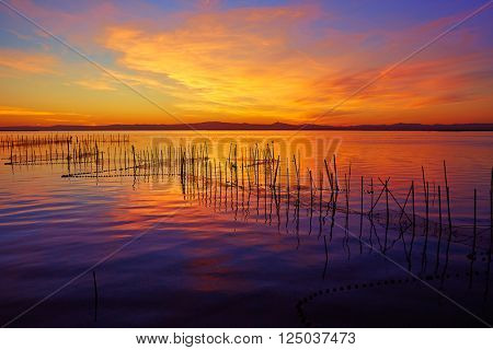 La Albufera lake sunset in El Saler of Valencia at Spain