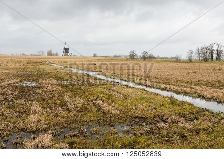 Marshy nature reserve traversed by a small stream. It is a overcast day at the end of the winter season.