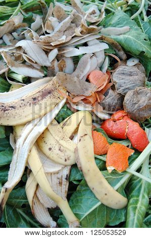 Composting