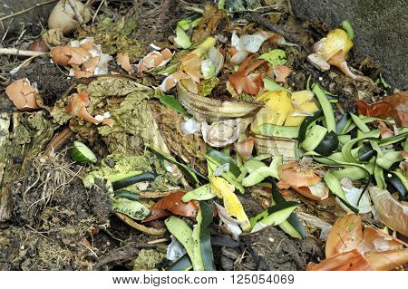 Garden compost heap with garden and kitchen food waste for home recycling.