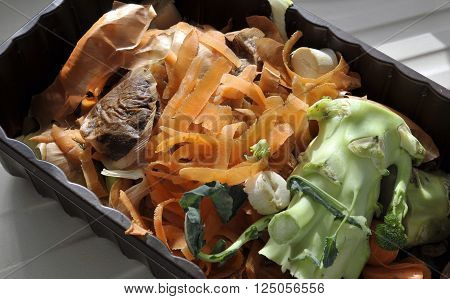 Kitchen Waste