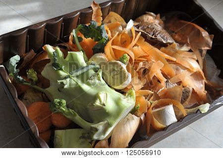Kitchen Waste