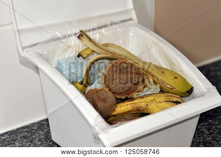 Kitchen Waste