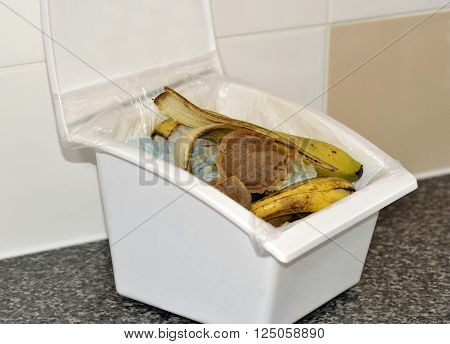 Kitchen Waste