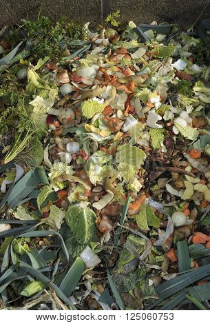 Household raw food waste, vegetables fruit peel and green refuse on a garden compost heap for recycling.