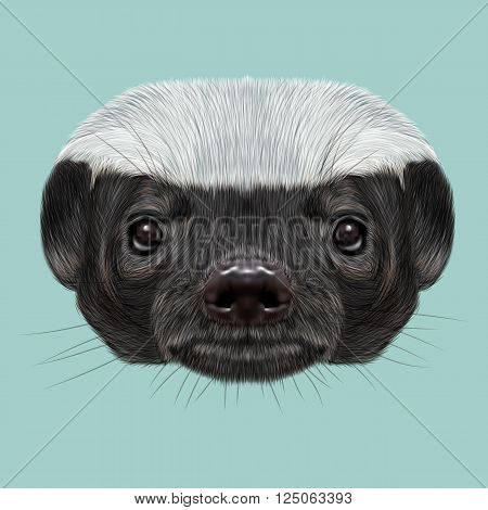Cute face of ratel on blue background.