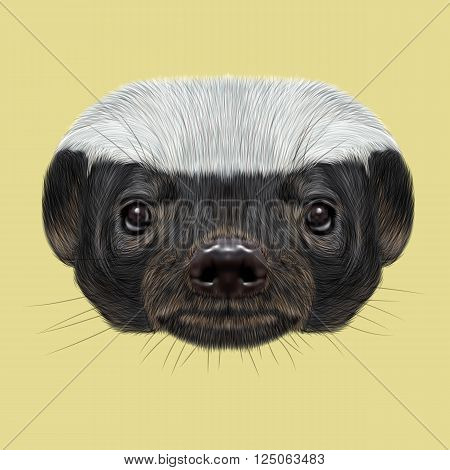 Cute face of ratel on yellow background.