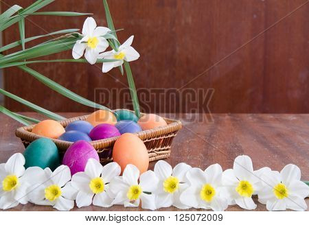 Easter eggs in a basket among the daffodils