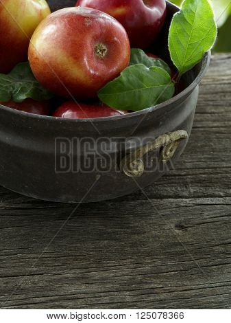 close up view of nice fresh apples on color background