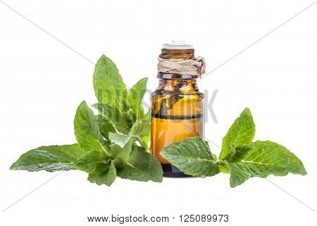 Essential oil made from mint on a white background