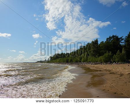 Sunny windy day with clouds.Baltic sea coast