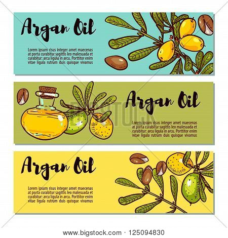 Argan banner in eco-style in natural colors. Argan flyers design layouts. Leaflet for cosmetics medicine ecology bio products.