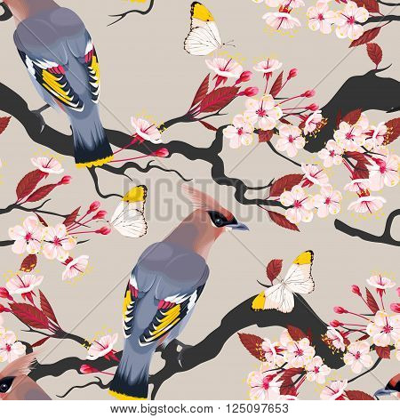 Waxwing on the cherry vector seamless background