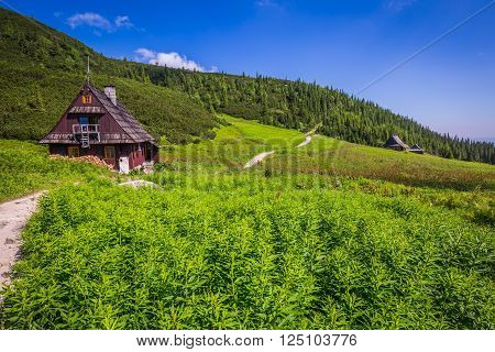 Hala Gasienicowa(Valey Gasienicowa) in Tatra mountains in ZakopanePoland