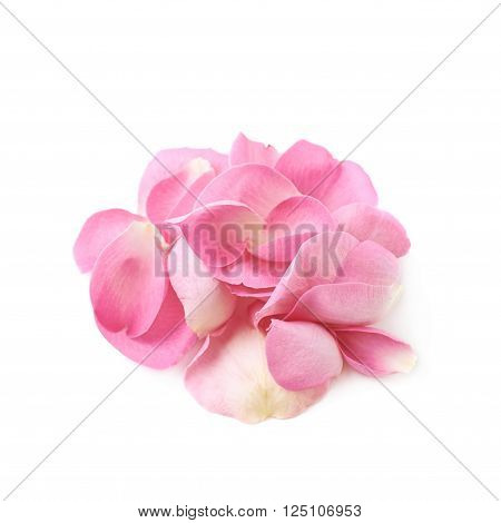 Pile of multiple pink rose petals isolated over the white background