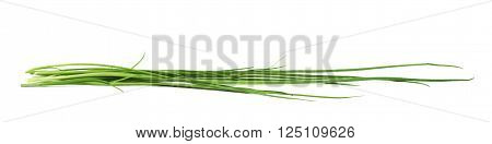 Green onion scallions isolated over the white background