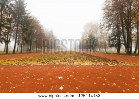 A Park In The Autumn, During Cloudy Weather, Late Autumn, Defocused