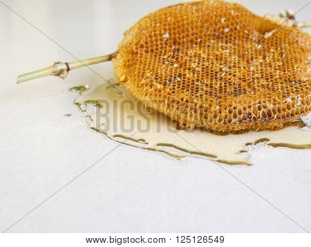 honeycomb with honey on the white background