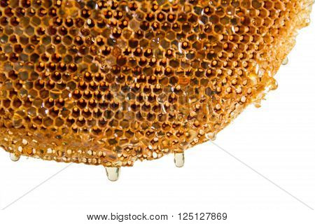 honeycomb with honey on the white background