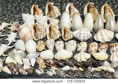 Seashells souvenirs for sale on the stand in Kuta Beach Bali Indonesie.