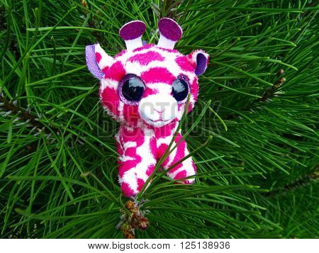 Pink plush giraffe sitting on the pine tree