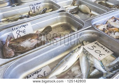 Fresh Fish In The Fish Market - Greece