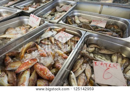 Fresh Fish In The Fish Market - Greece