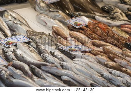 Fresh Fish In The Fish Market - Greece