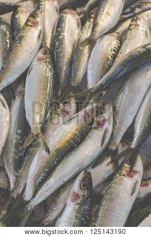 Fresh Fish In The Fish Market - Greece