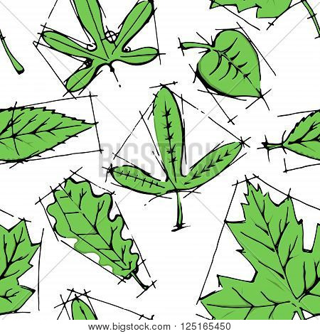 Collection of leaves. Colorful hand drawn vector stock illustration