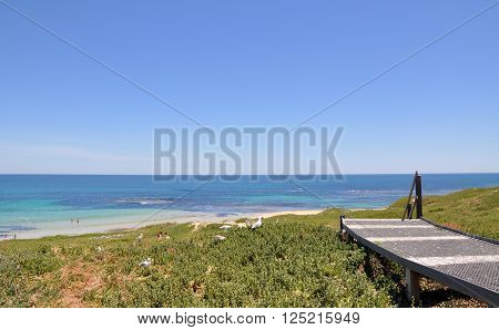 Elevated view from metal walkway over the turquoise Indian Ocean seascape at Penguin Island in Rockingham, Western Australia.