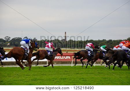 BURSWOOD,WA,AUSTRALIA-MAY 30,2014: Jockeys racing horses on the green grass track at the Belmont Park Racecourse in Burswood, Western Australia.