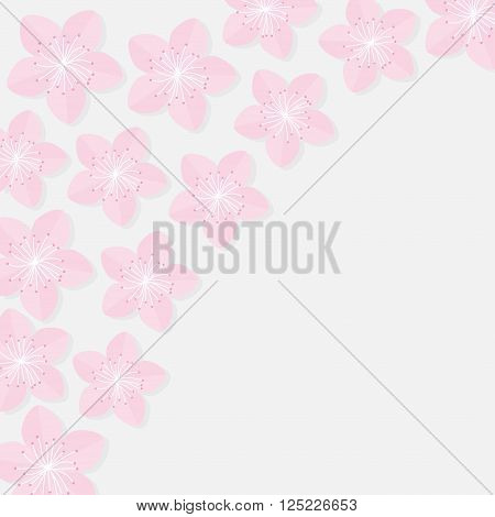 Sakura flowers. Japan blooming cherry blossom set in the corner Isolated White background Flat design Vector illustration