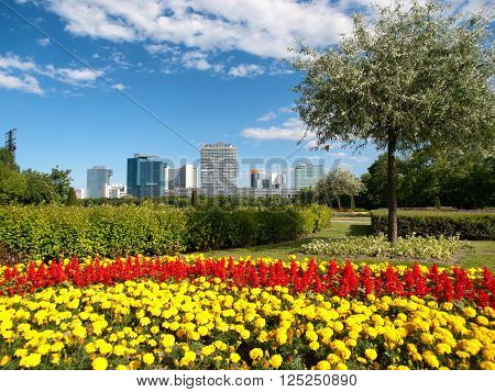 Office buildings in Danube City, Vienna, Austria. Beautiful garden and tree in foreground