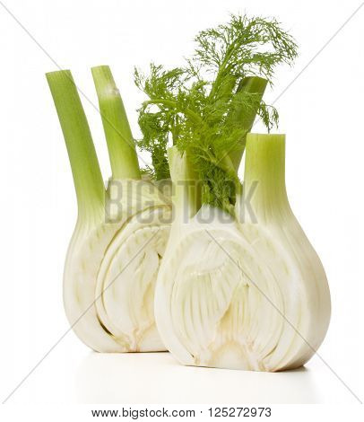 Fresh fennel bulb isolated on white background close up