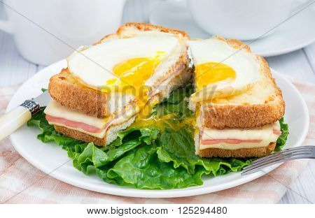 French toasted sandwich Croque madame cut, closeup