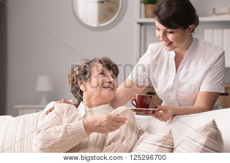 Young helpful caregiver serving hot tea to older woman