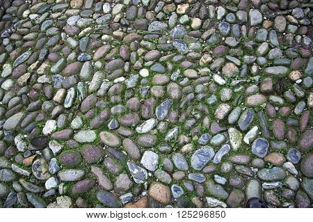 Closeup of old street gravel pavement covered with moss texture