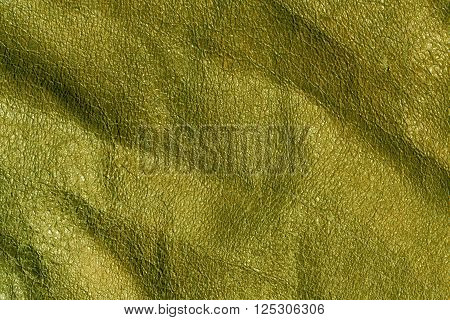 Absract Green Leaher Texture.