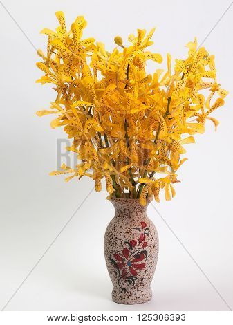 Yellow Mokara Orchids Put them in a vase White background.