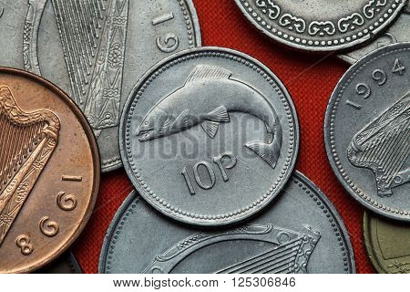Coins of Ireland. Salmon depicted in the Irish 10 pence coin.