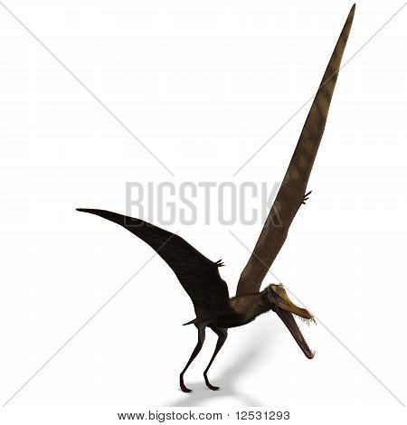 Dinozaur Anhanguera pterozaurów