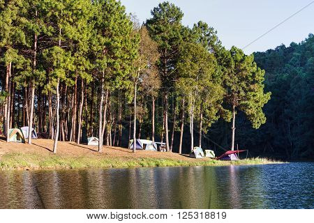 Dome tents near lake and pine trees in camping site at Pang Ung (Pang Tong reservoir) Mae Hong Son Thailand