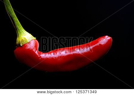macro red chilli isolated on black background