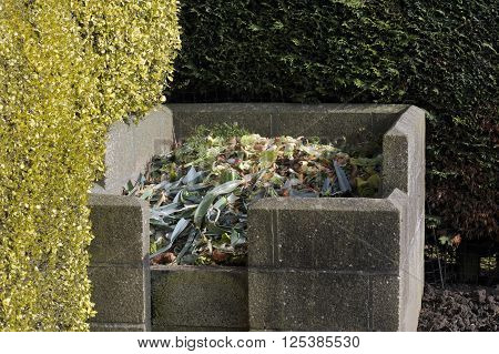 Compost Heap
