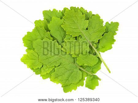 Mustard